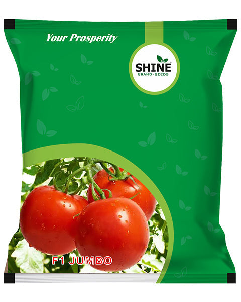 SHINE TOMATO JUMBO F1 HYBRID SEEDS