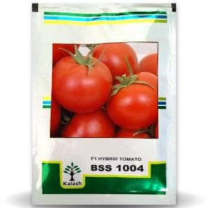 BSS 1004 TOMATO ( बीएसएस 1004 टमाटर )