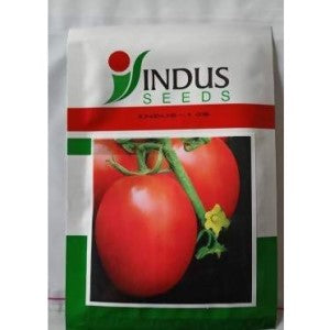 INDUS TOMATO 106 F1 HYBRID SEEDS