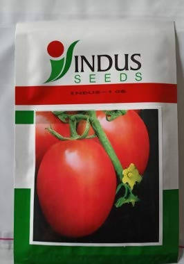 INDUS TOMATO 106 F1 HYBRID SEEDS