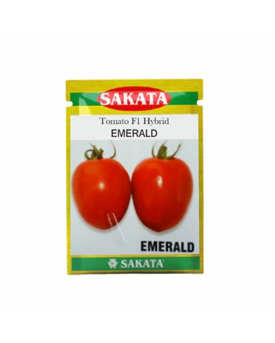 EMERALD TOMATO ( एमराल्ड टमाटर )