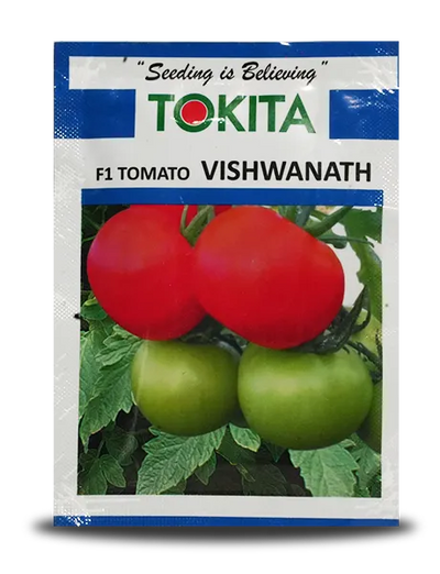 TOKITA VISHWANATH TOMATO