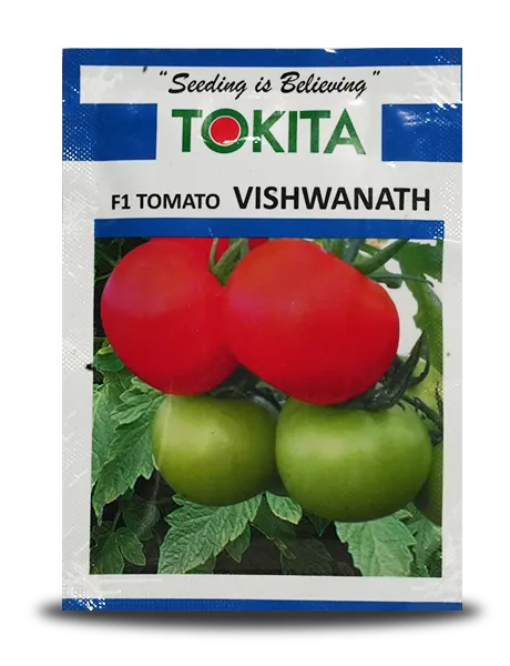 TOKITA VISHWANATH TOMATO