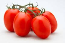 UJJWAL TOMATO US 2727 F1 HYBRID SEEDS