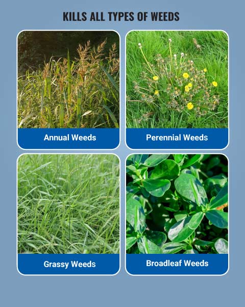 Topper 77 Herbicide
