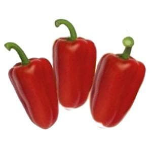 TRIROSSO RZ F1 (35-901) RED CAPSICUM