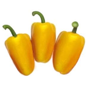 TRIYELLO RZ F1 (35-902) YELLOW CAPSICUM