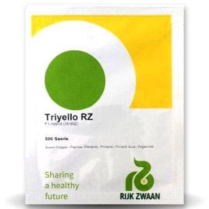 TRIYELLO RZ F1 (35-902) YELLOW CAPSICUM