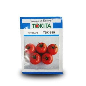 TSX-999 TOMATO