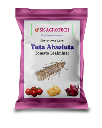 SK AGROTECH TUTA ABSOLUTA LURE - TOMATO LEAF MINER