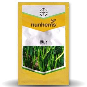 UJALA CHILLI SEEDS