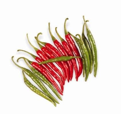 ULKA HOT PEPPER F1 CHILLI SEEDS