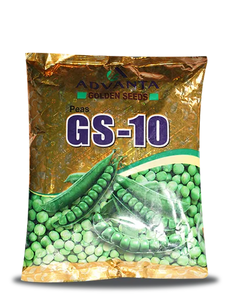 GS-10 PEA SEED