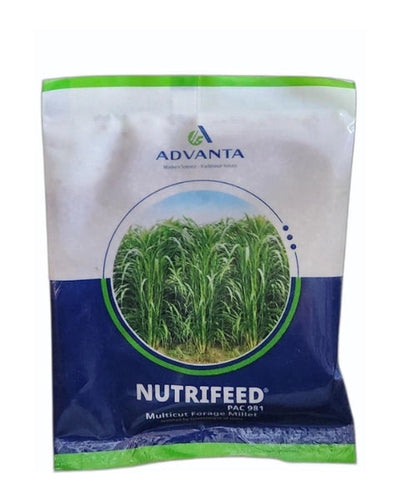 NUTRIFEED FORAGE