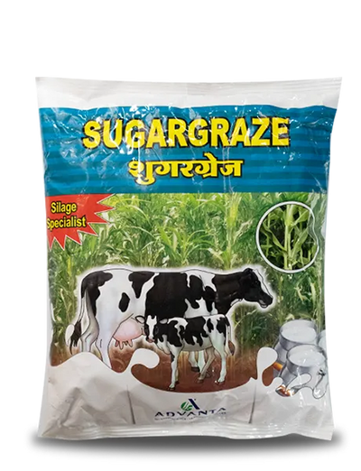 SUGARGRAZE FORAGE