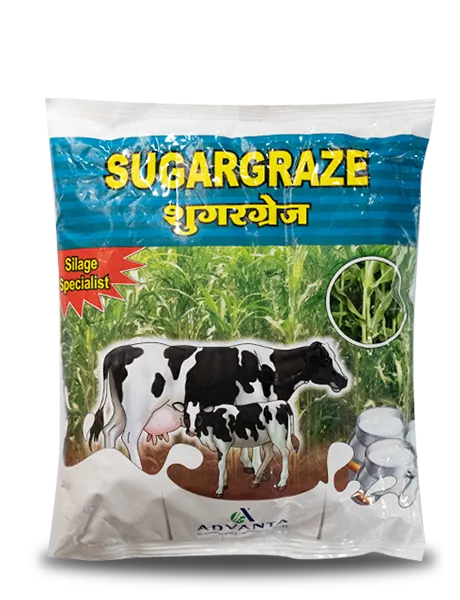 SUGARGRAZE FORAGE