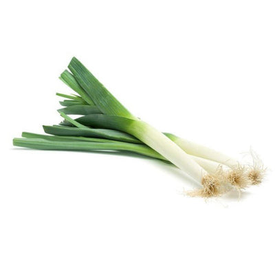 URJA AMERICAN FLAG - LEEK SEEDS