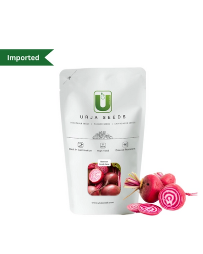 URJA BEET ROOT CANDY CANE (IMPORTED)