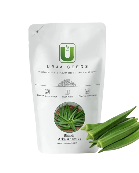 URJA BHINDI ARKA SEEDS