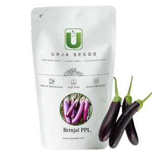 URJA BRINJAL PPL SEEDS