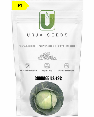 URJA CABBAGE F1 US-192