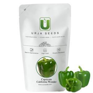 URJA CAPSICUM CALIFORNIA WONDER SEEDS