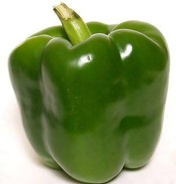 URJA CAPSICUM CALIFORNIA WONDER SEEDS