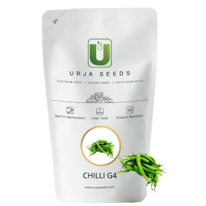 URJA CHILLI G4 (SMALL & ROUND)