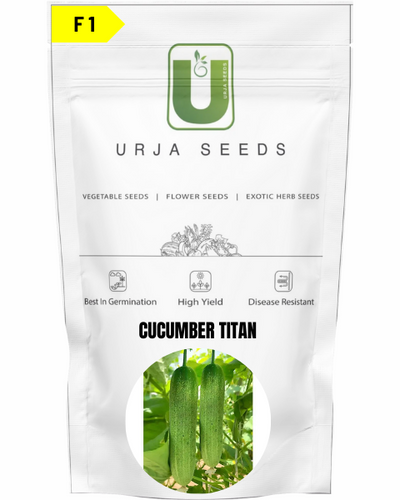 URJA CUCUMBER F1 TITAN