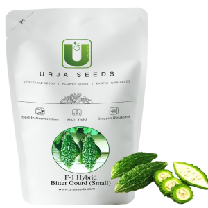 URJA F-1 HYBRID BITTER GOURD SEEDS (PURE GREEN PLUS)