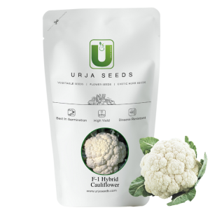 URJA JYOTIKA-I - CAULIFLOWER F-1 HYBRID SEEDS