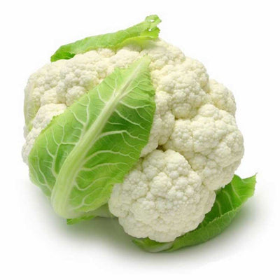 URJA JYOTIKA-I - CAULIFLOWER F-1 HYBRID SEEDS