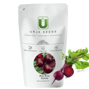 URJA MAHARAJA RED - BEETROOT SEEDS