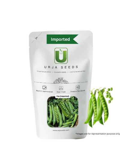 URJA MATAR PEA(IMPORTED)