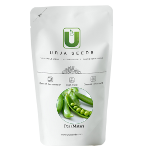 URJA MATAR PEA(IMPORTED)