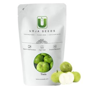 URJA NAVNEET TINDA SEEDS