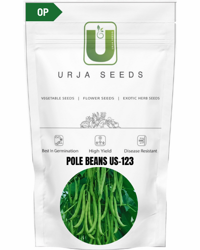 URJA POLE BEANS US-123