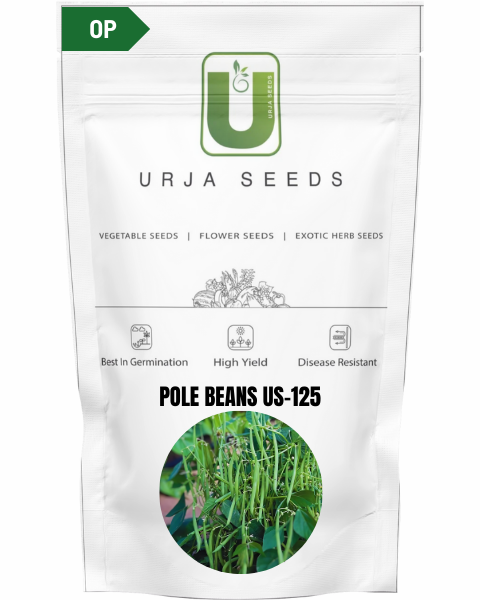 URJA POLE BEANS US-125