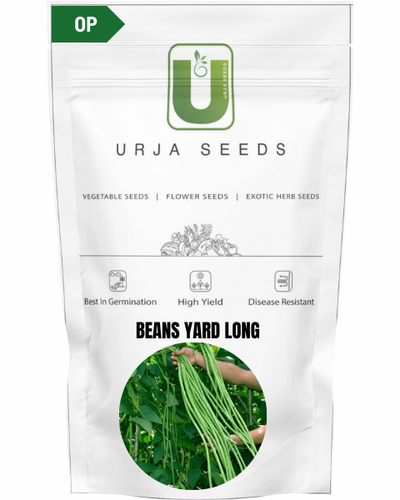 URJA POLE BEANS YARD LONG