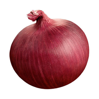 URJA RED COSMO ONION SEEDS