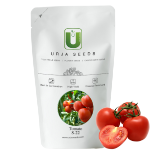 URJA S-22 TOMATO SEEDS