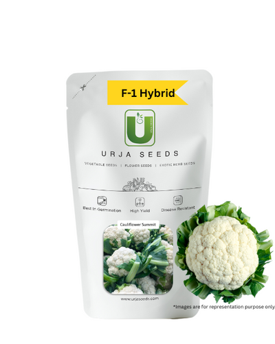 URJA SUMMIT - CAULIFLOWER F-1 HYBRID SEEDS