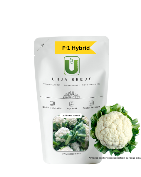 URJA SUMMIT - CAULIFLOWER F-1 HYBRID SEEDS