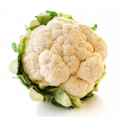 URJA SUMMIT - CAULIFLOWER F-1 HYBRID SEEDS