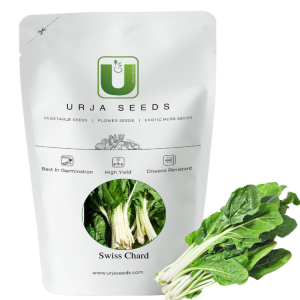 URJA SUPER GREEN (IND.) SWISS CHARD SEEDS