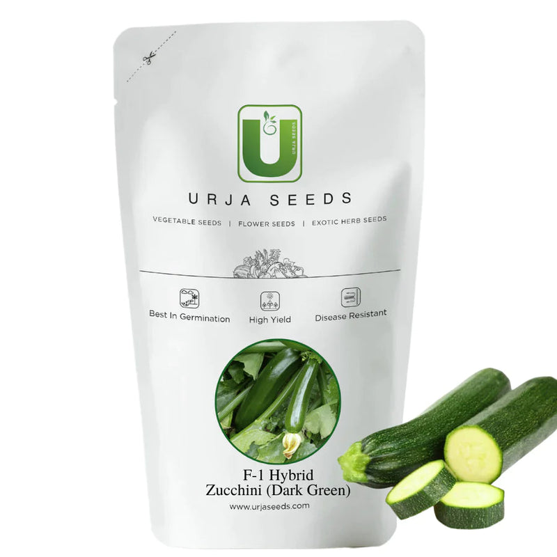 URJA TITAN ZUCCHINI F-1 HYBRID SEEDS