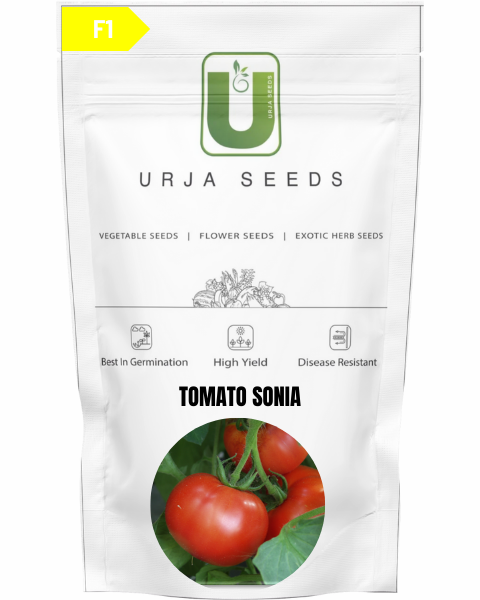 URJA TOMATO F1 SONIA