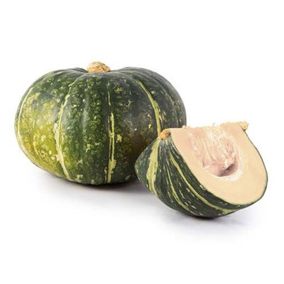 URJA US-64 - PUMPKIN F-1 HYBRID SEEDS (SMALL)