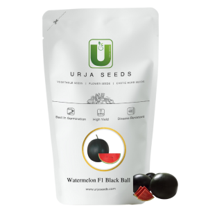 URJA US-888 - WATERMELON F-1 HYBRID SEEDS