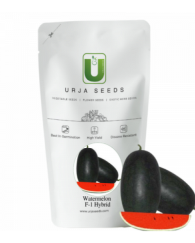 URJA US-888 - WATERMELON F-1 HYBRID SEEDS